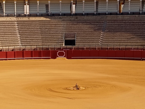 塞维利亚历史中心-塞维利亚必去景点