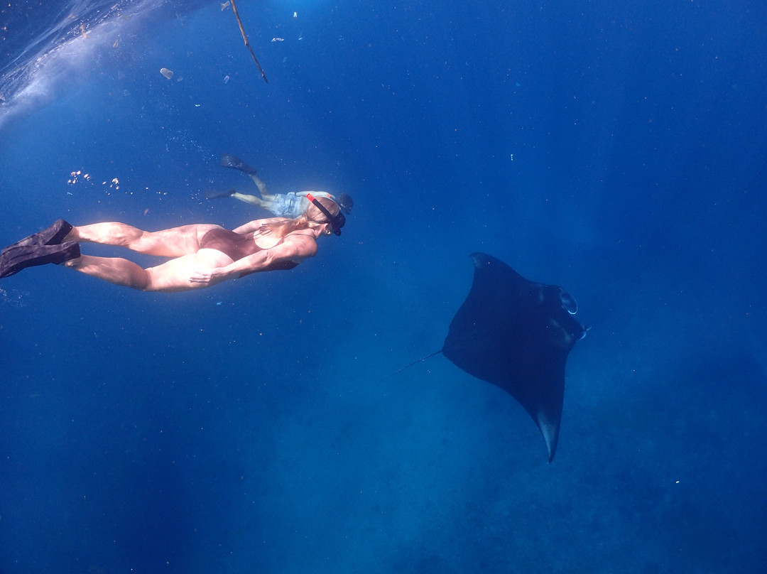 Aquaman Snorkeling Lembongan-蓝梦岛必去景点