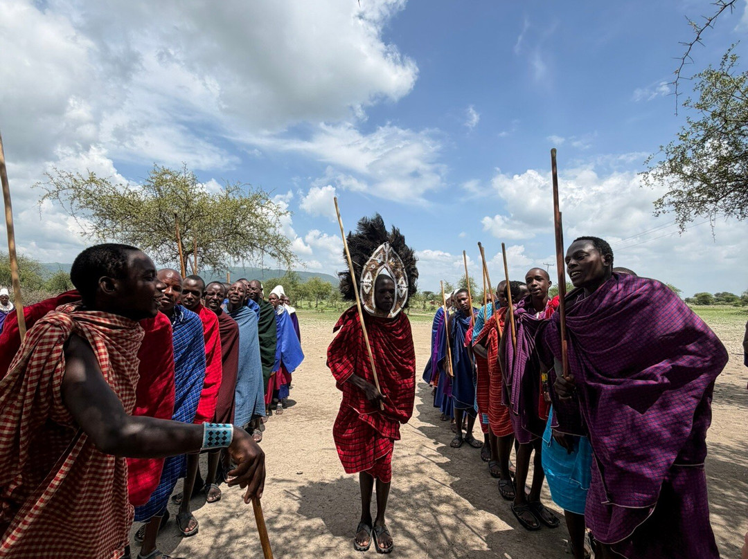Serengeti Silence - A Tour Operator-阿鲁沙必去景点