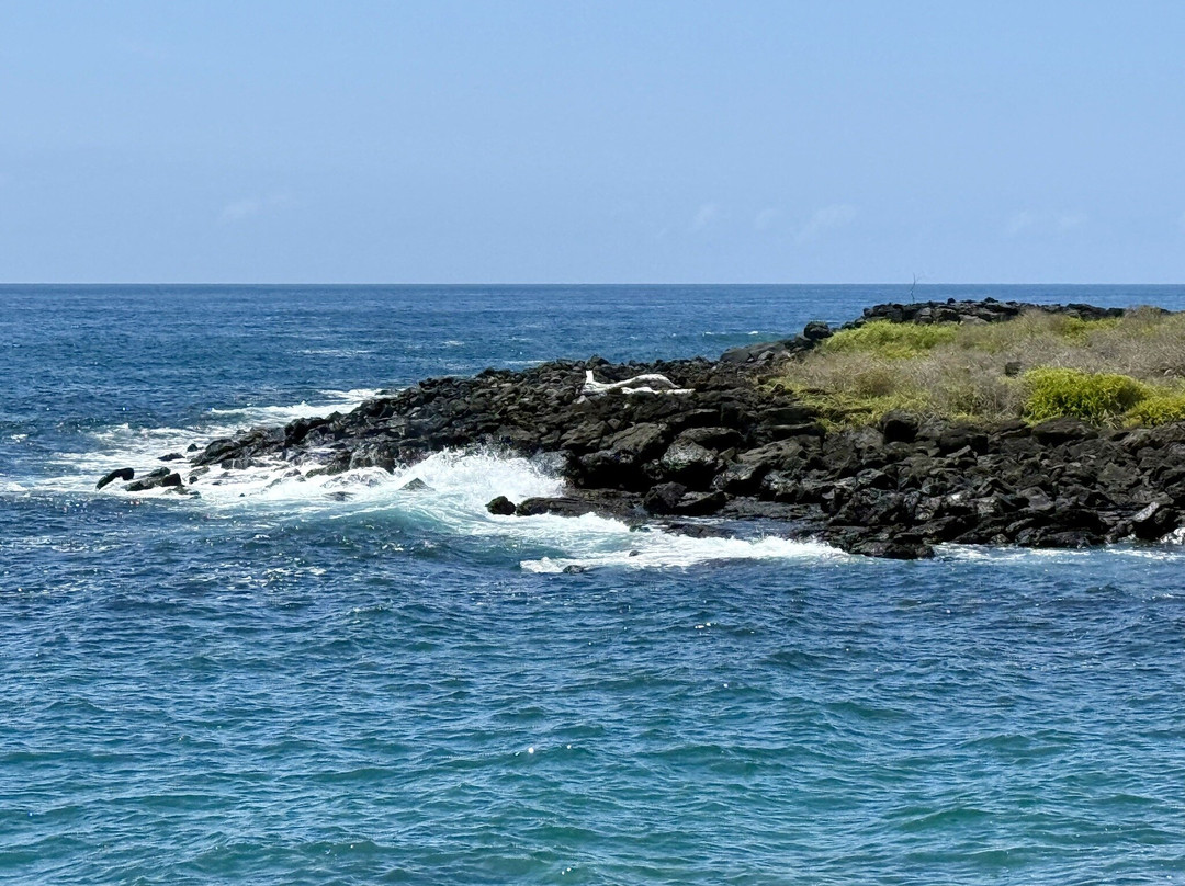 Puerto Chino Beach-圣克里斯托瓦尔必去景点