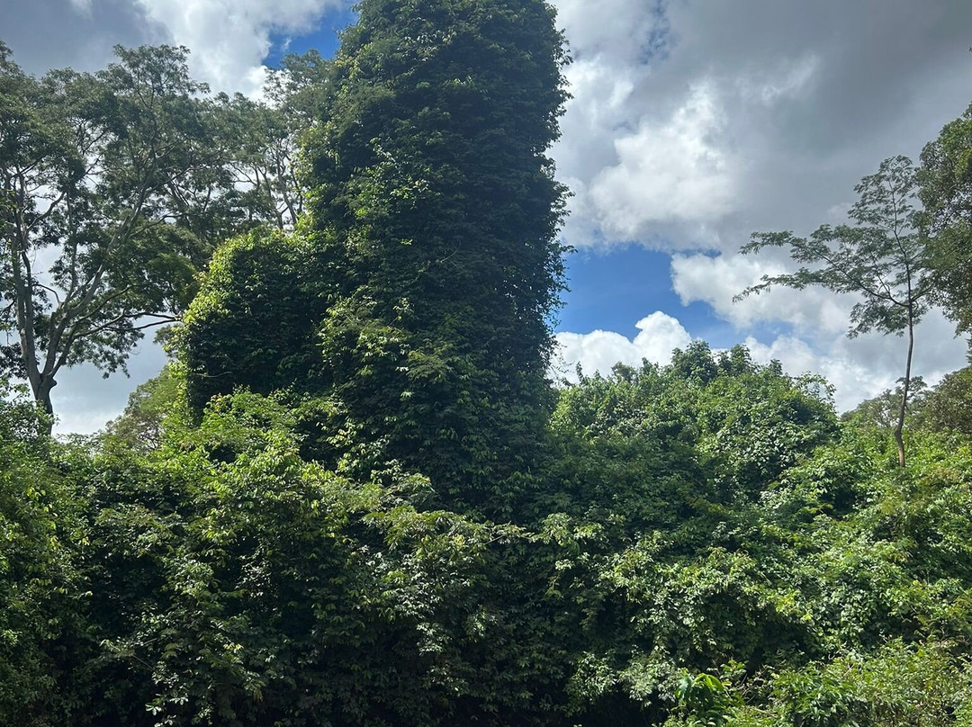 Aventure Safaris-蒙巴萨必去景点