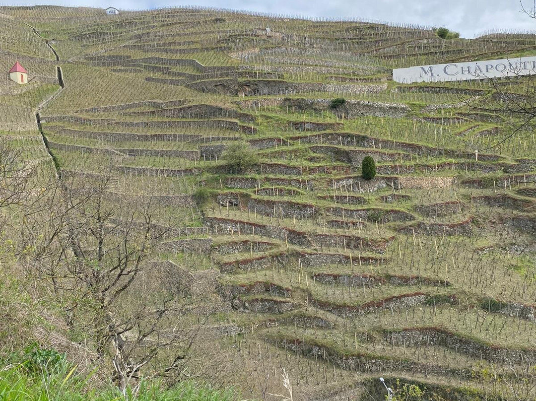 Rhone Wine Tours-尼永必去景点