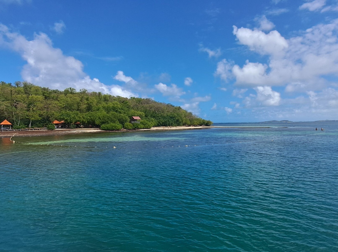 Les Ballades du Delphis-Le Francois必去景点