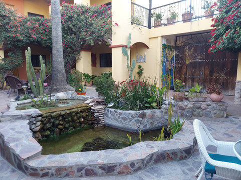 Hotel Los Arcos de Sonora主图