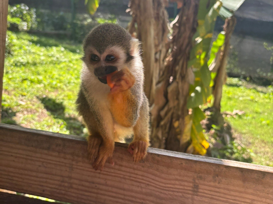 Runners Adventures-普拉塔港必去景点