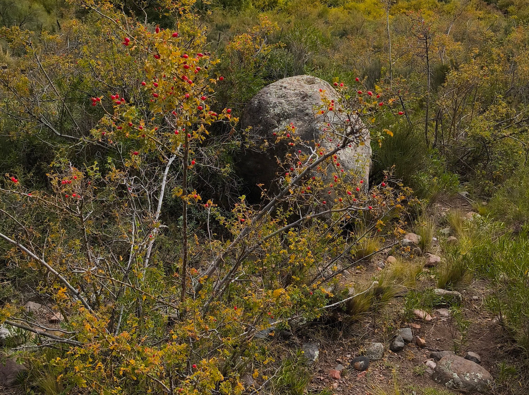 Cabalgatas Mendoza: Los Chacayes-门多萨必去景点