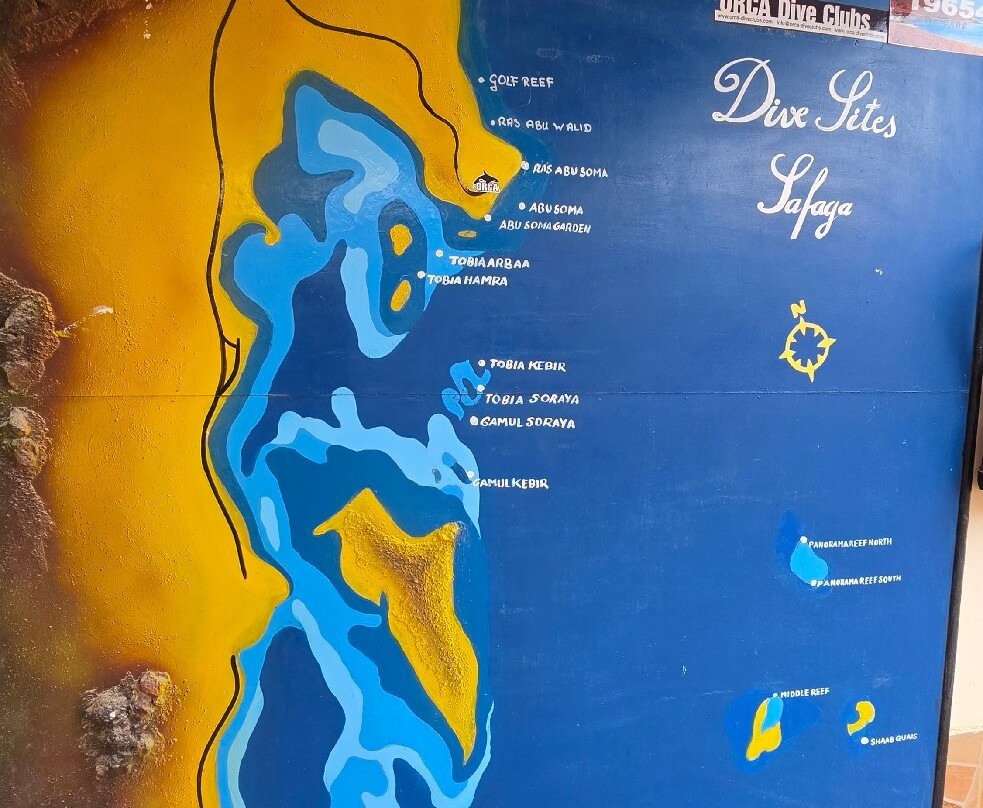 ORCA Dive Club Soma Bay-索马湾必去景点