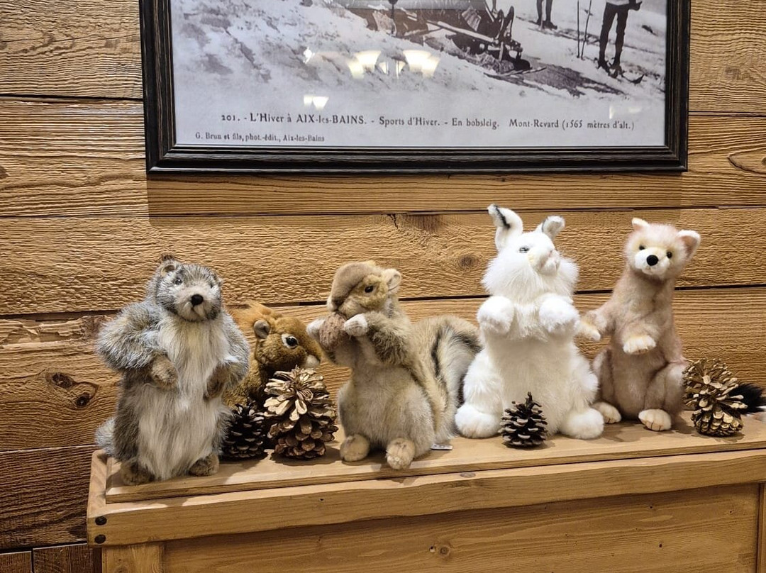 阿尔彭鲁伊特酒店主图