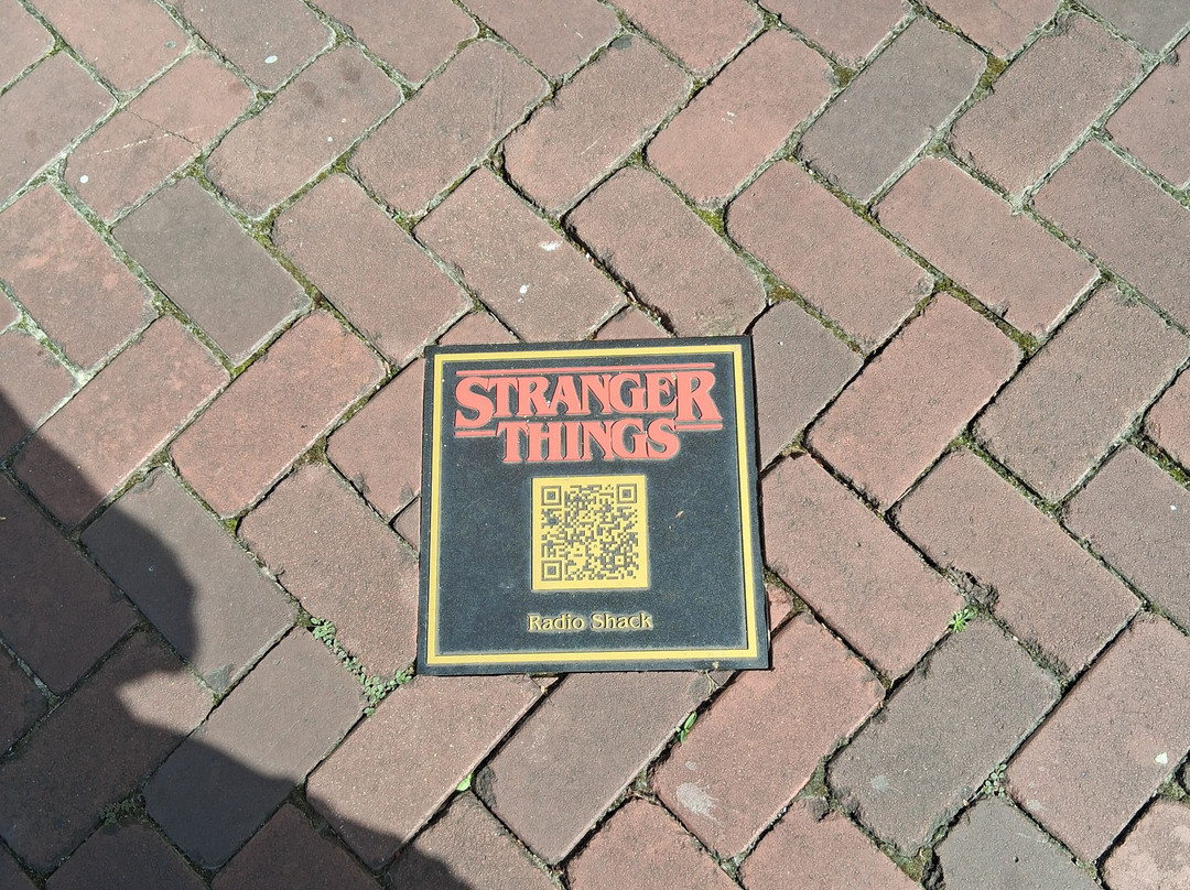 Stranger Tours-Jackson必去景点