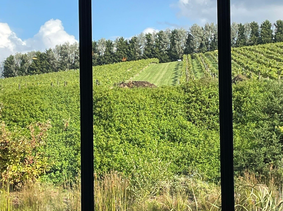Passing Clouds Winery-戴尔斯福特必去景点
