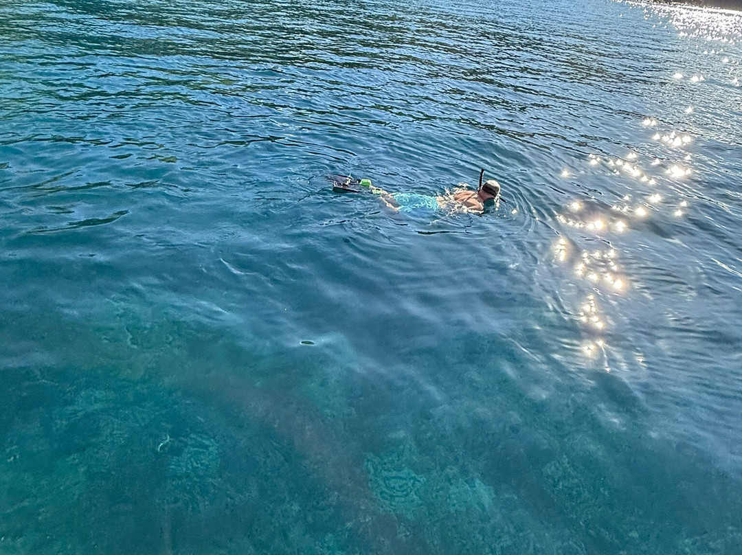 Maui Custom Charters-玛阿拉也亚必去景点