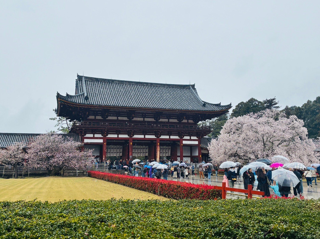 SKR Reisen-科隆必去景点