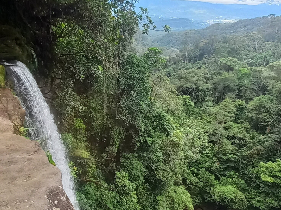 Aves y Aventuras en Putumayo-Mocoa必去景点