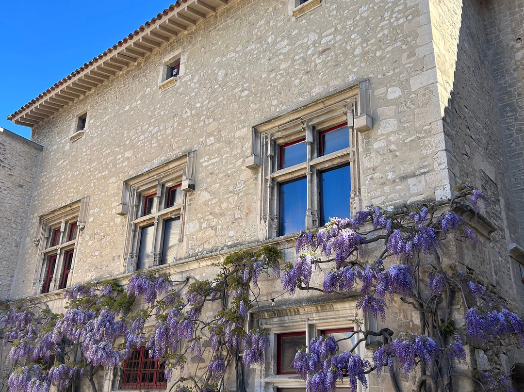 Château De Thézan-Saint-Didier必去景点
