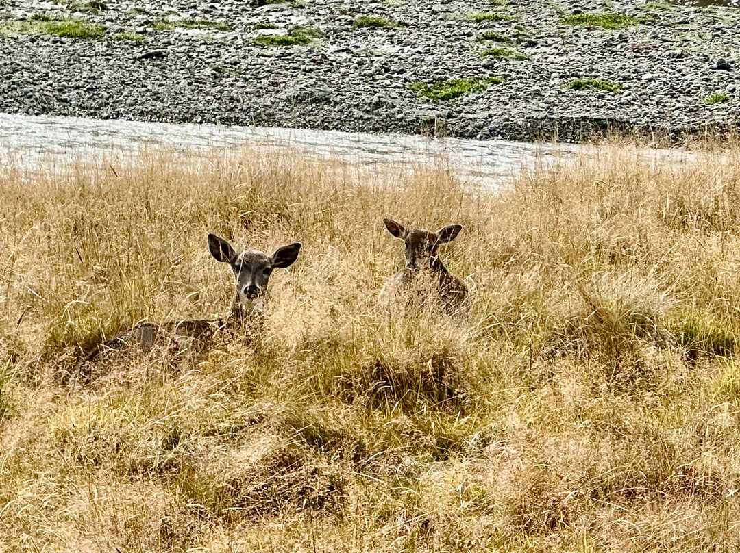 Packrafting Queenstown-皇后镇必去景点