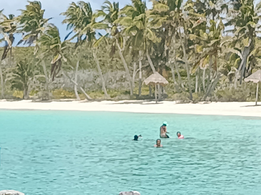 Isla Contoy National Park-Isla Contoy必去景点