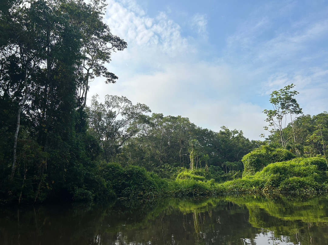Selva Verde Tours-Misahualli必去景点