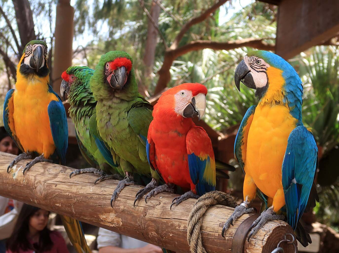 Jardin Botanico-La Lajita必去景点