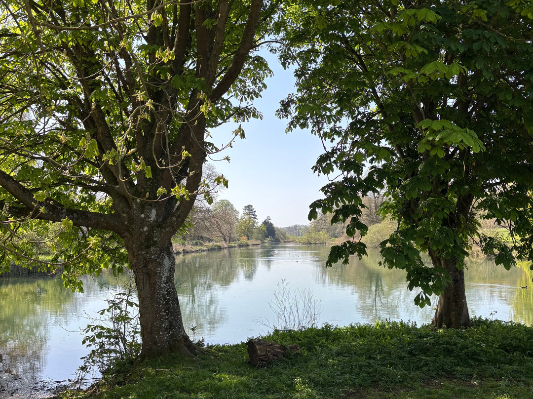The Vyne-Sherborne St. John必去景点