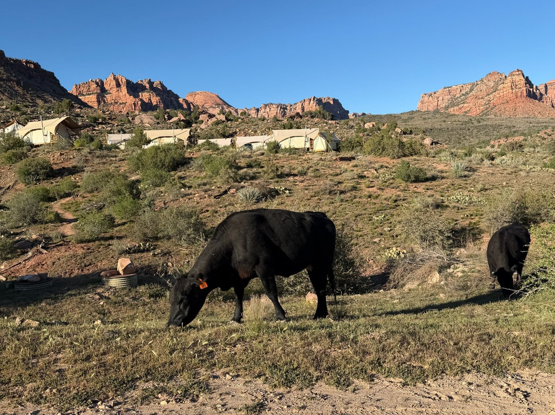 锡安帆布下的豪华帐篷主图