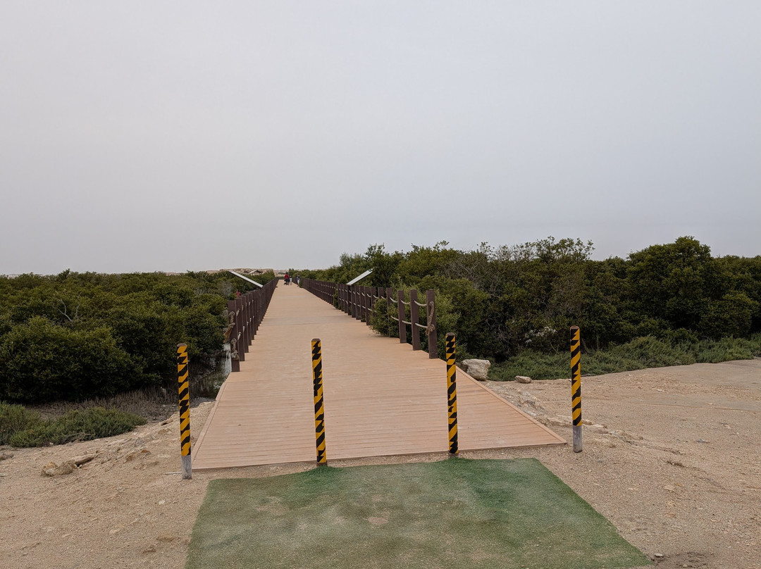 Purple Island - Al Khor Island-Al Khor必去景点