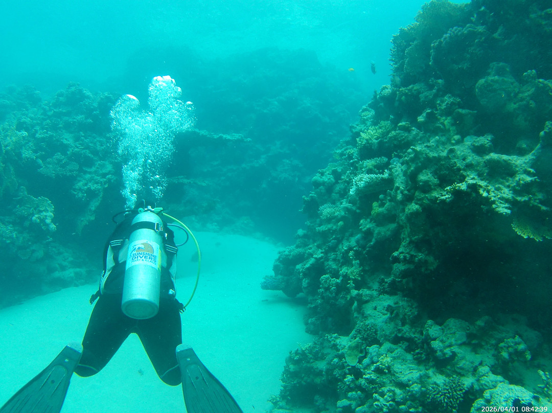 Sunshine Divers Mary & Klaus-沙姆沙伊赫必去景点