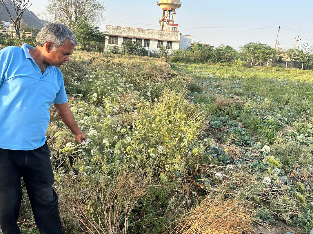 托迪加酒店主图