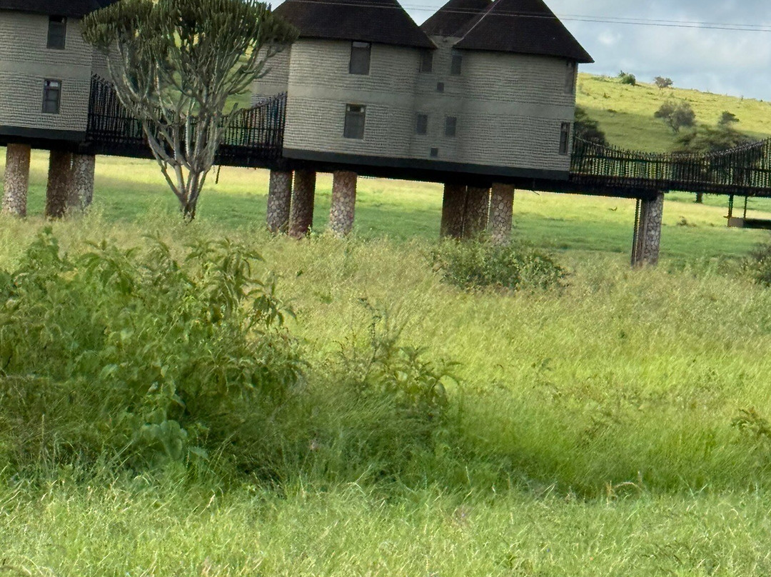 萨尔特利克野生动物园小屋主图