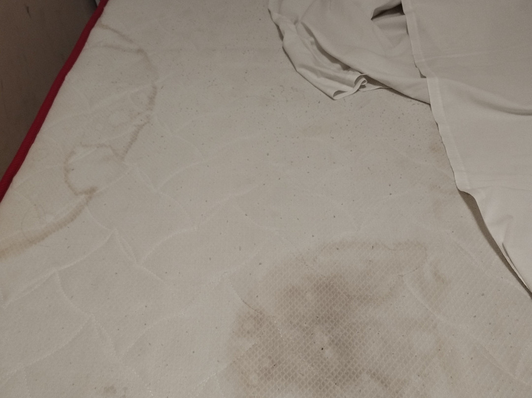 Hair Of The Dog Bar Hoi An-会安必去景点