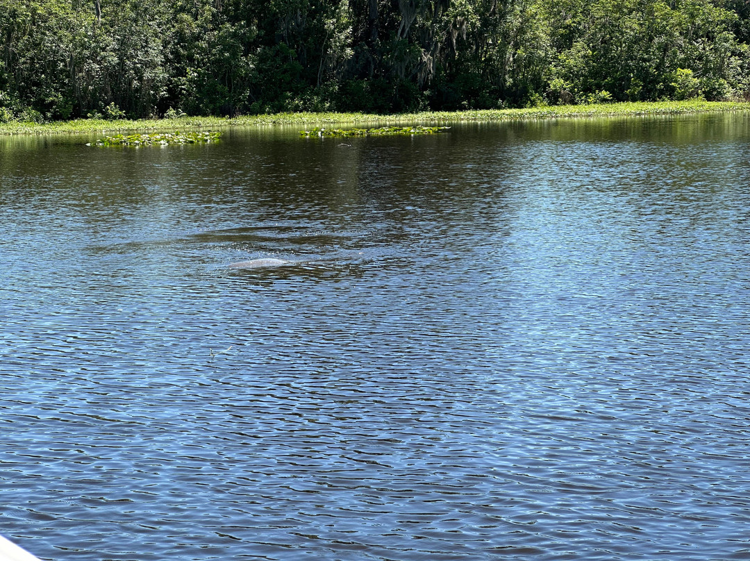 St. John's River Eco Tours, LLC-DeBary必去景点