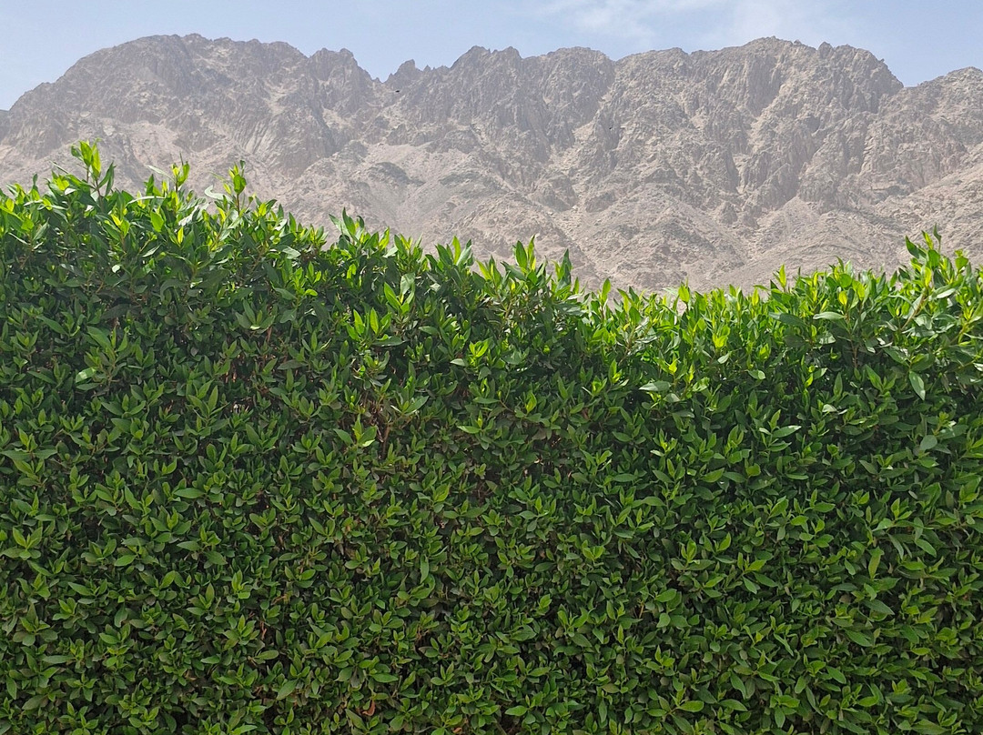 幸福生活村度假酒店主图