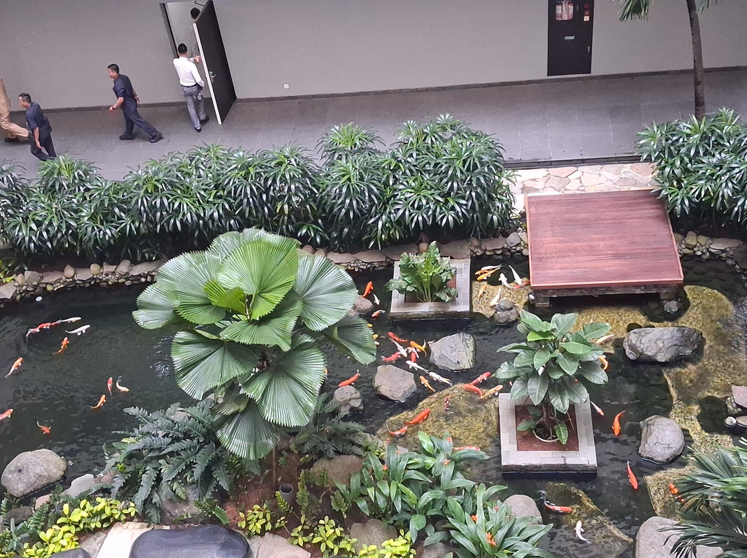 加拉璜凤凰木酒店主图