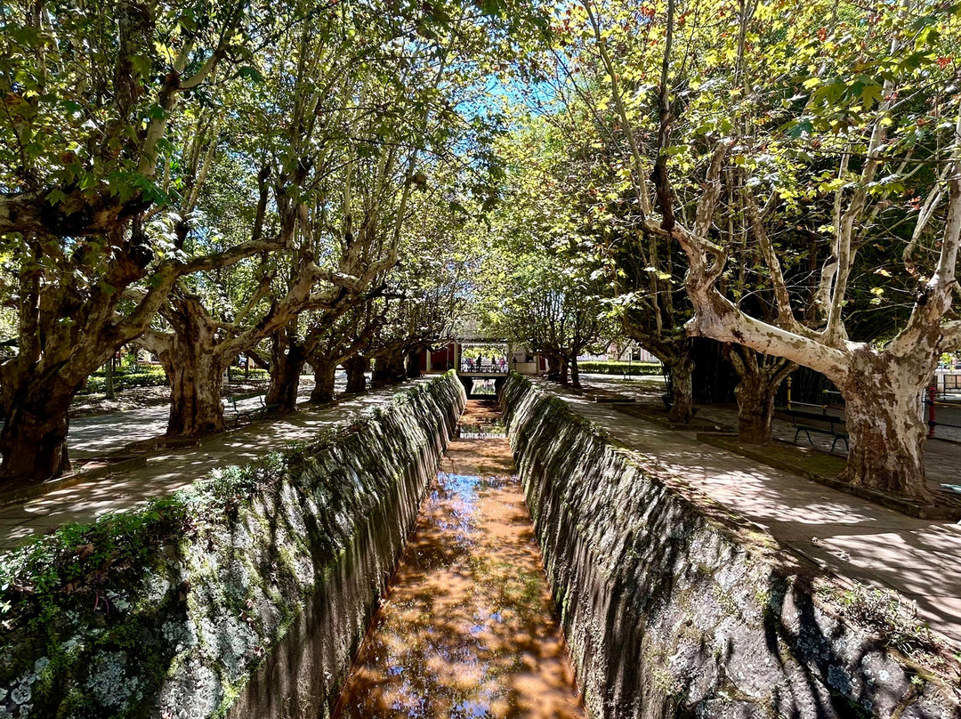 Parque das Águas-Caxambu必去景点