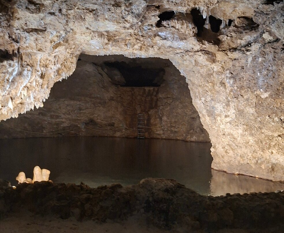 Harrison's Cave Eco-Adventure Park-Saint Thomas Parish必去景点