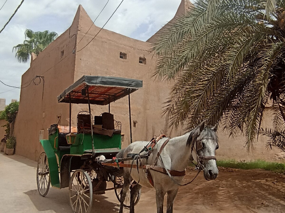 Taroudant Caleche Carriage Tours-塔鲁丹特必去景点