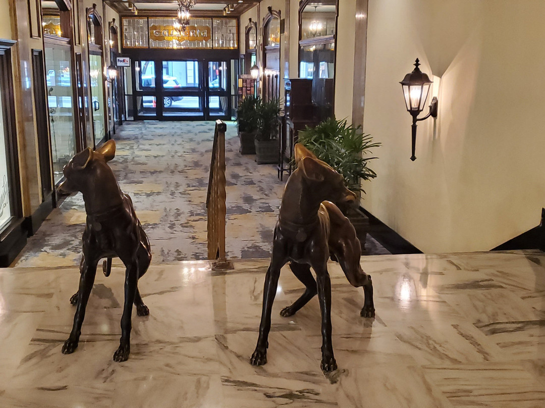The Peabody Ducks-孟菲斯必去景点