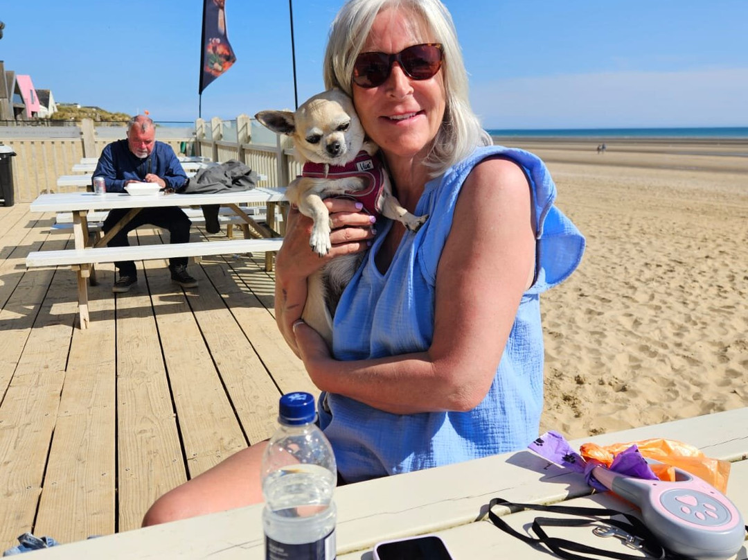 Camber Sands-Camber必去景点