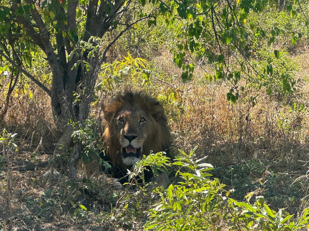 Africa's Best Adventures-开普敦必去景点
