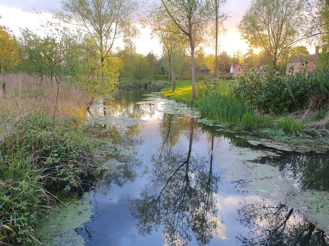 Little Marlow Lakes Country Park-Little Marlow必去景点