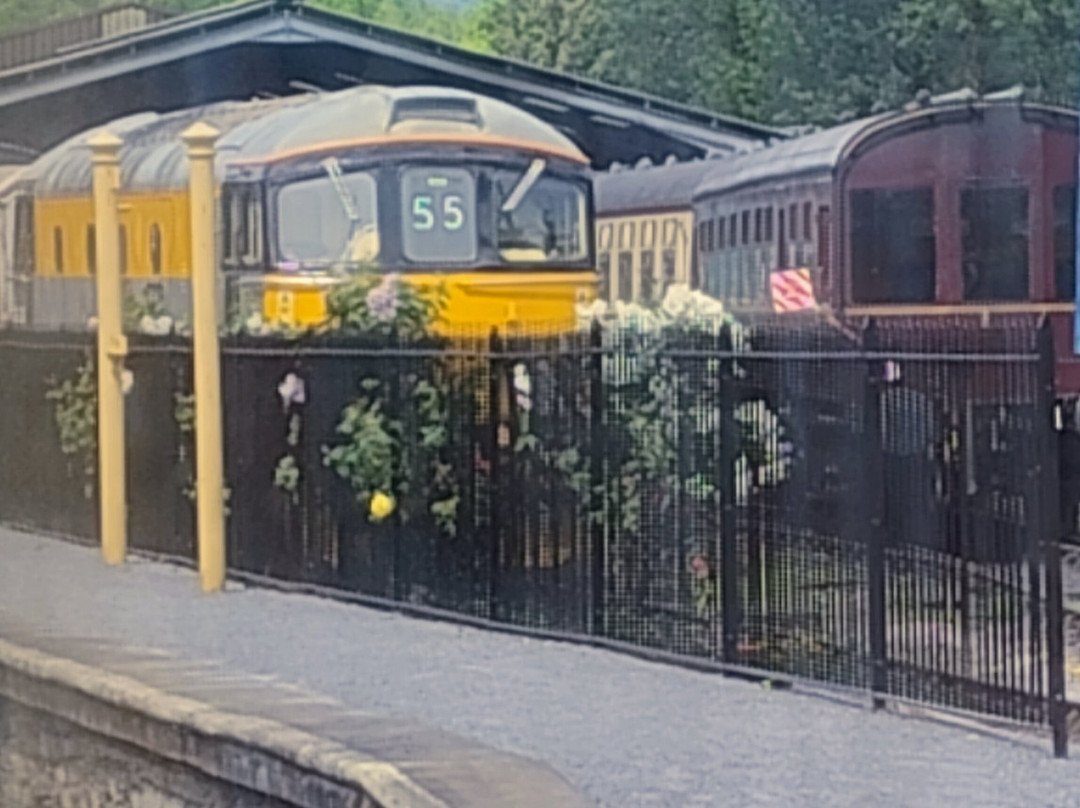 South Devon Railway-Buckfastleigh必去景点