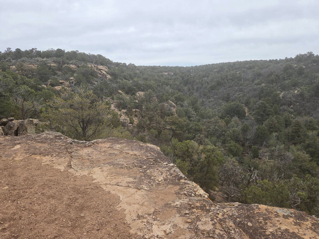 Canyons Of The Ancients National Monument-Pleasant View必去景点