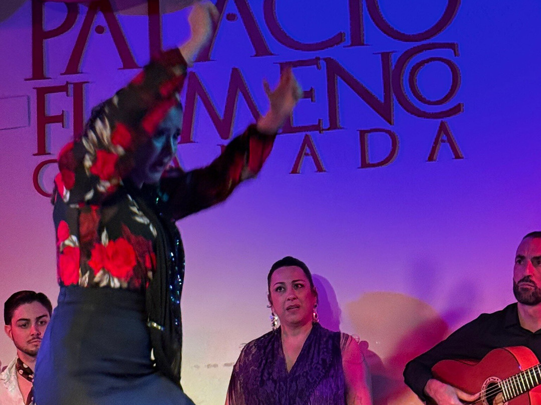 Palacio Flamenco Granada-格拉纳达必去景点