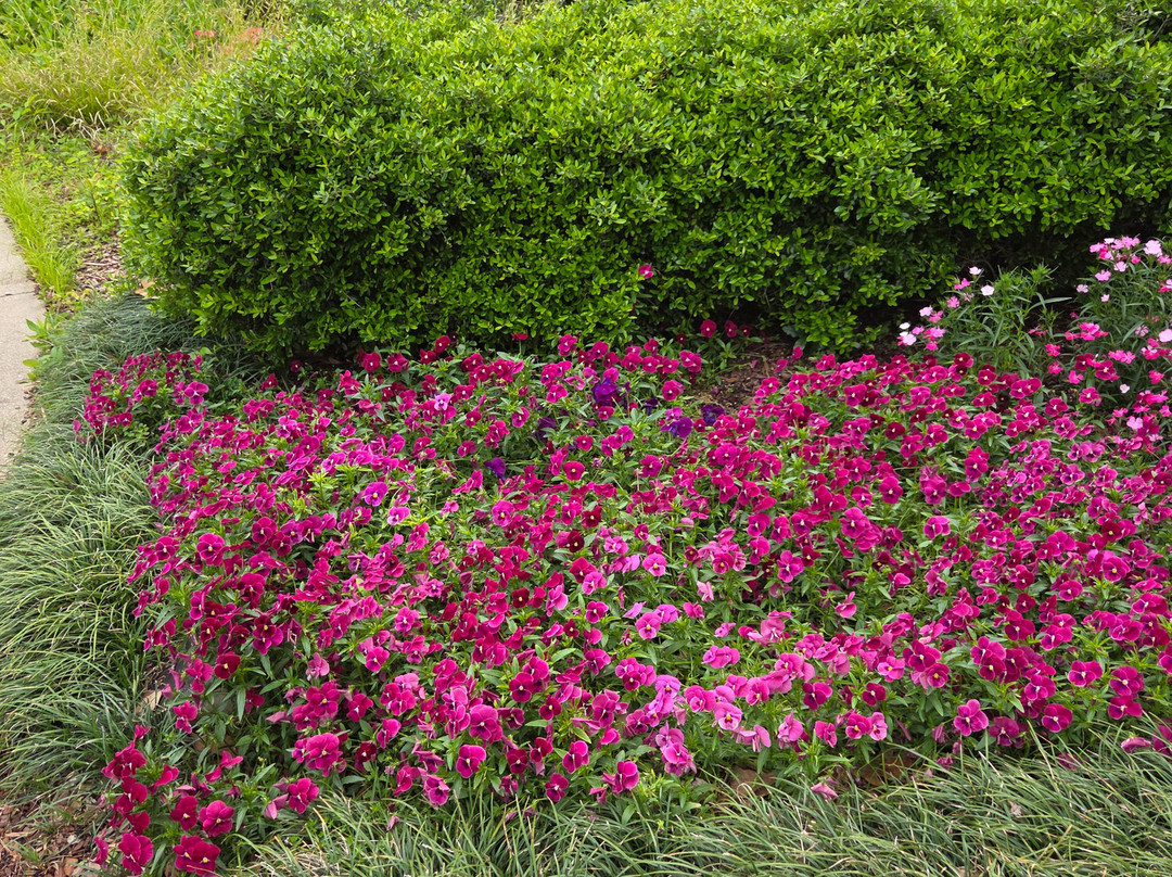 Huntsville Botanical Garden-亨茨维尔必去景点