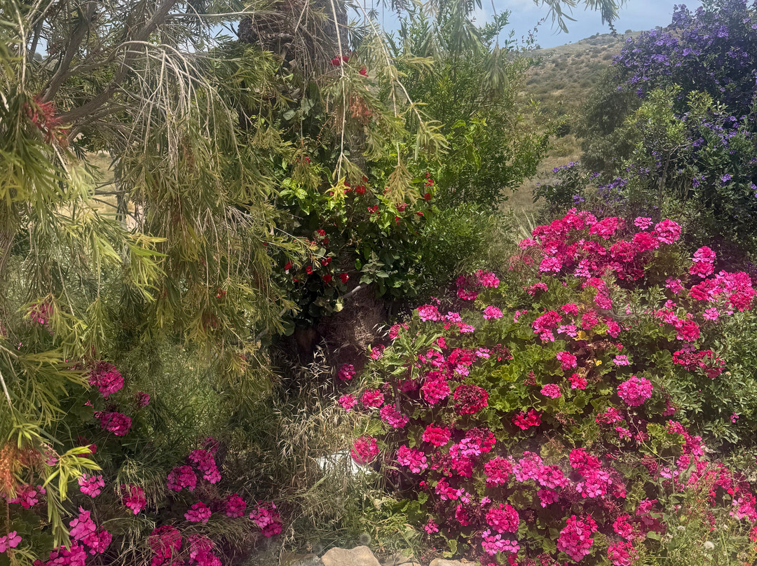 ADONIS Botanic Garden-Akoursos必去景点