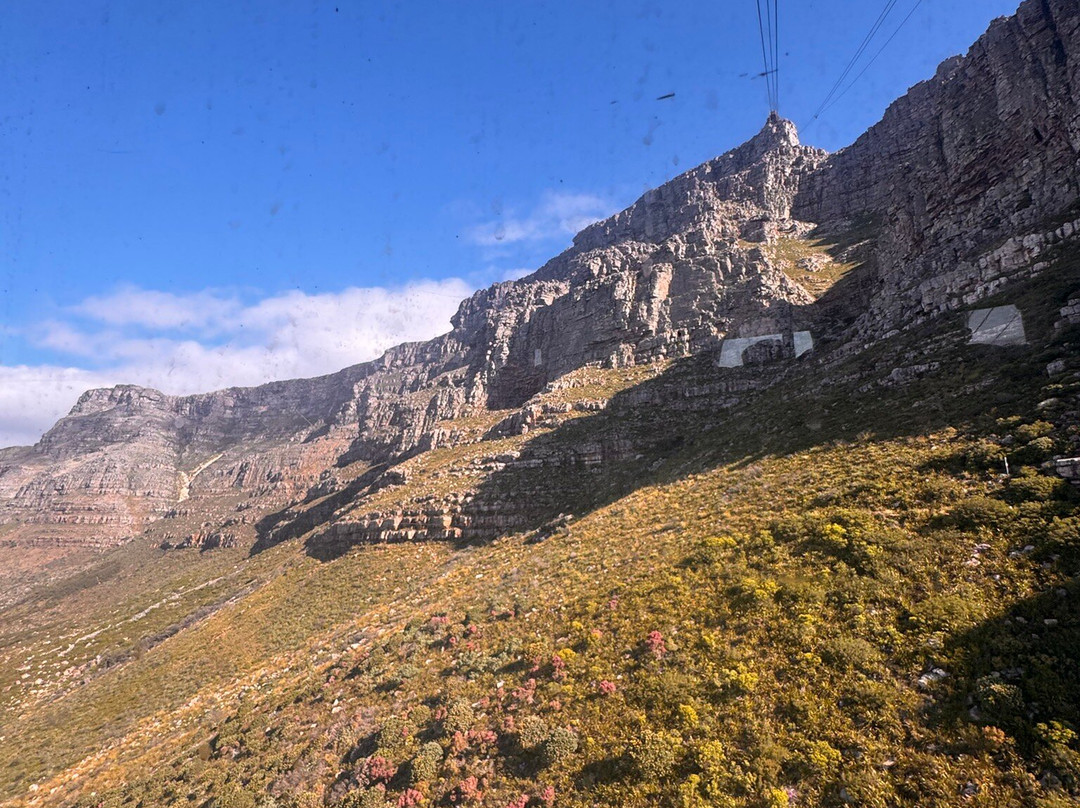 桌山空中索道-开普敦中心区必去景点