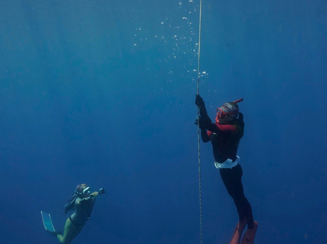 Ocean Bx Freediving-Mati必去景点