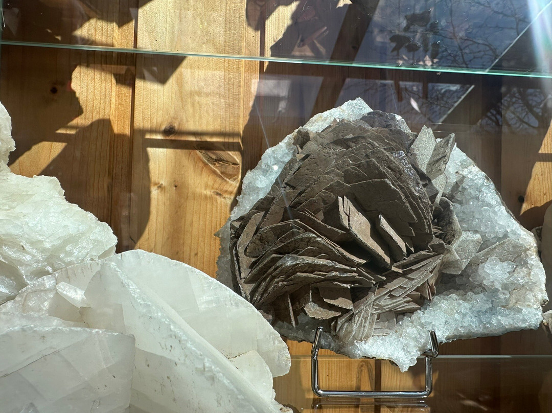 Petra´s Stone Collection-Stodvarfjordur必去景点