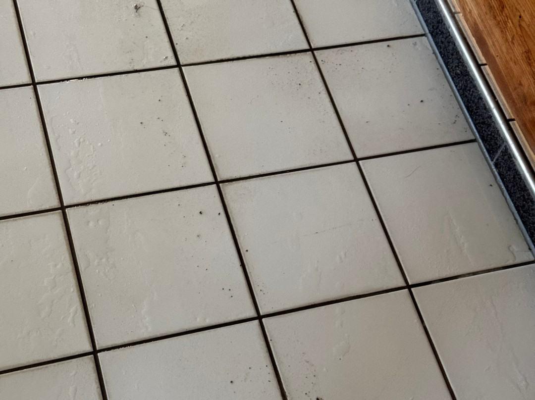 湖滨尼登贝格酒店主图