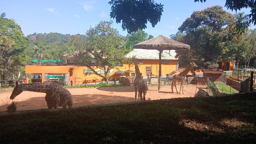Zoologico De Sao Paulo-圣保罗必去景点