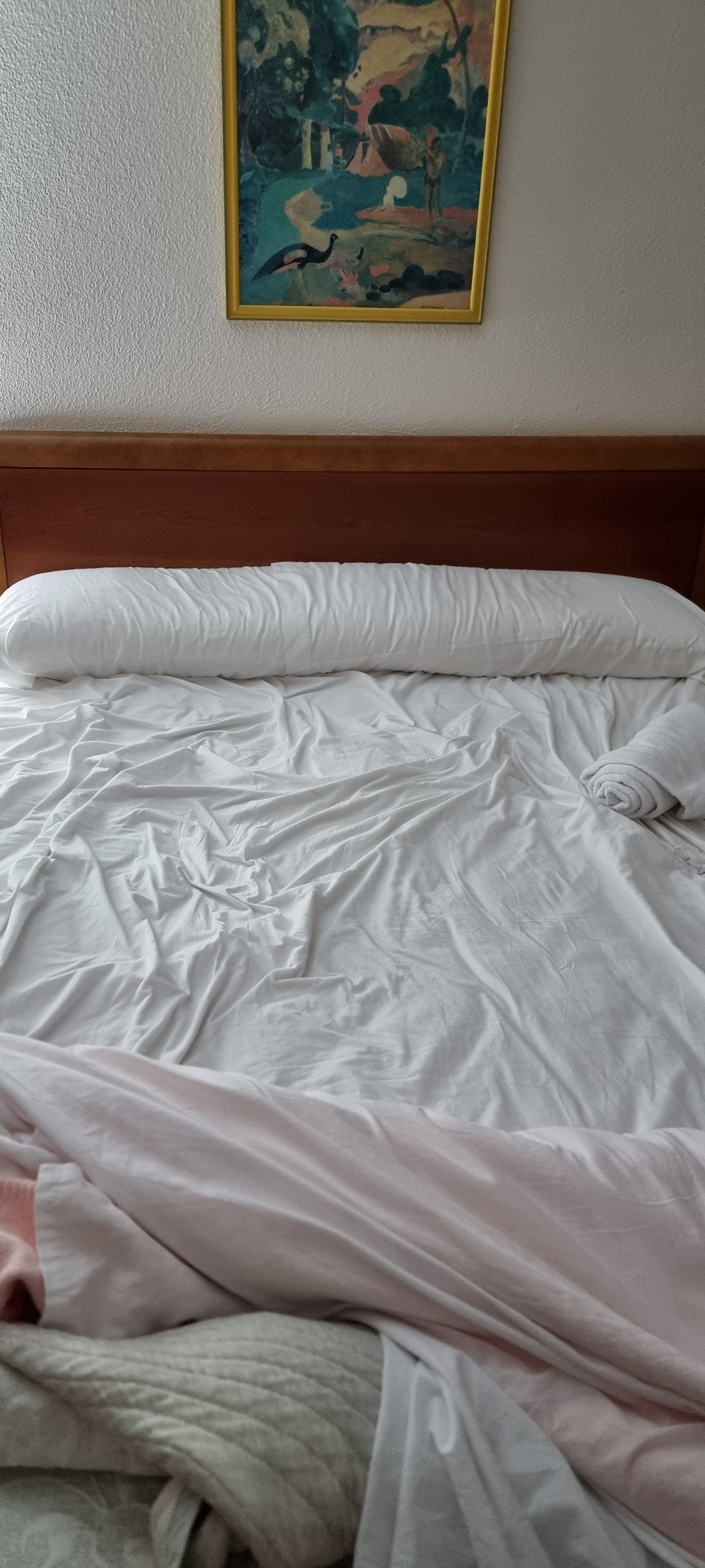 Hotel Bedunia-旅行者
